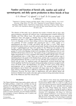 Spermatogonia, and Daily Sperm Production in Three Breeds of Boar O