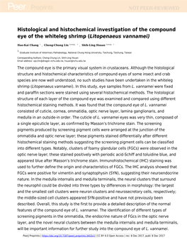 Histological and Histochemical Investigation of the Compound Eye of the Whiteleg Shrimp (Litopenaeus Vannamei)