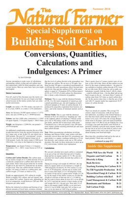 Special Supplement on Conversions, Quantities, Calculations and Indulgences: a Primer