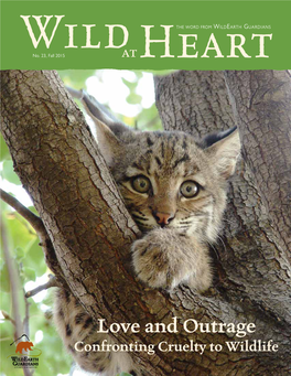 Love and Outrage Confronting Cruelty to Wildlife a BOLD VISION John Horning