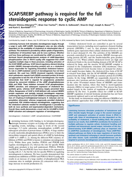 SCAP/SREBP Pathway Is Required for the Full Steroidogenic Response To