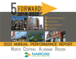 CEDS 2020 Annual Performance Report