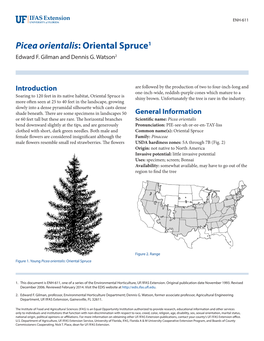 Picea Orientalis: Oriental Spruce1 Edward F