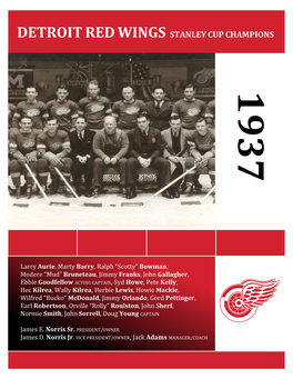 Detroitredwings