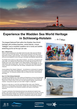 Experience the Wadden Sea World Heritage in Schleswig-Holstein