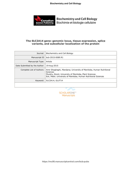 The SLC2A14 Gene: Genomic Locus, Tissue Expression, Splice Variants, and Subcellular Localization of the Protein