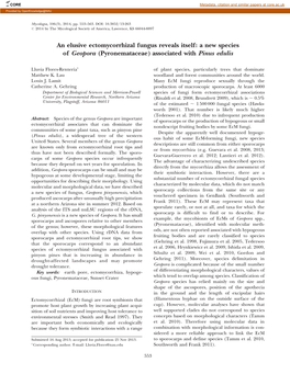 An Elusive Ectomycorrhizal Fungus Reveals Itself: a New Species of Geopora (Pyronemataceae) Associated with Pinus Edulis