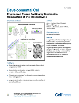 Engineered Tissue Folding by Mechanical Compaction of the Mesenchyme