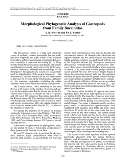 Morphological Phylogenetic Analysis of Gastropods from Family Buccinidae A