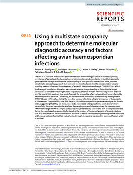 Using a Multistate Occupancy Approach to Determine Molecular Diagnostic Accuracy and Factors Afecting Avian Haemosporidian Infections Raquel A