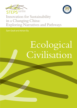 Innovation for Sustainability in a Changing China: Exploring Narratives and Pathways