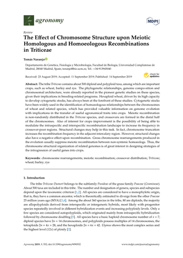 The Effect of Chromosome Structure Upon Meiotic Homologous And