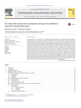 Are Mima-Like Mounds the Consequence of Long-Term Stability of Vegetation Spatial Patterning?