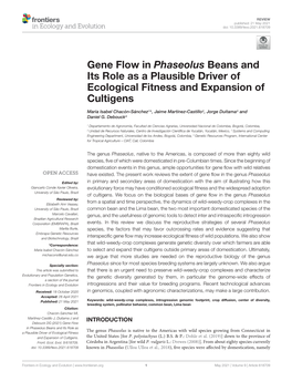 Gene Flow in Phaseolus Beans and Its Role As a Plausible Driver of Ecological Fitness and Expansion of Cultigens