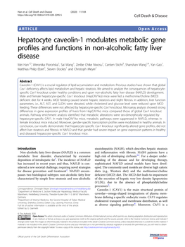 Hepatocyte Caveolin-1 Modulates Metabolic Gene Profiles And