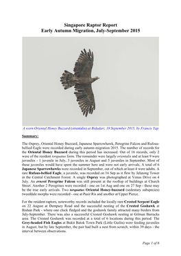 Singapore Raptor Report Early Autumn Migration, July-September 2015