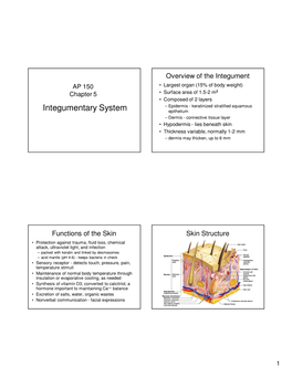 Integumentary System