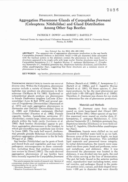 Aggregation Pheromone Glands of Carpophilus Freemani (Coleoptera: Nitidulidae) and Gland Distribution Among Other Sap Beetles