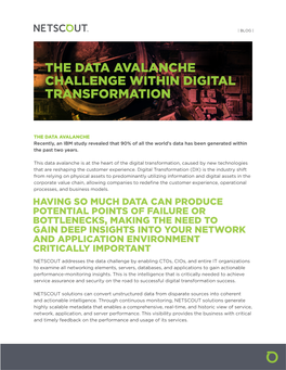 The Data Avalanche Challenge Within Digital Transformation