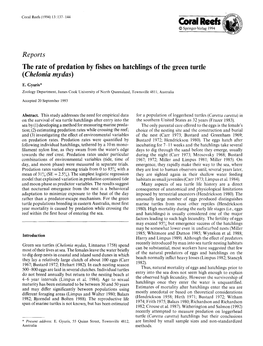 The Rate of Predation by Fishes on Hatchlings of the Green Turtle