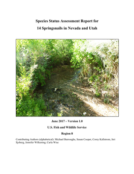 Species Status Assessment Report for 14 Springsnails in Nevada and Utah
