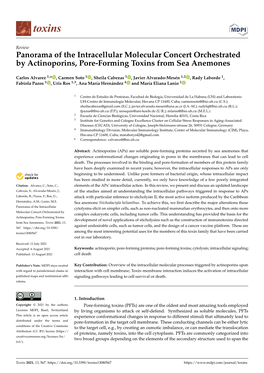 Panorama of the Intracellular Molecular Concert Orchestrated by Actinoporins, Pore-Forming Toxins from Sea Anemones