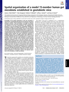 Spatial Organization of a Model 15-Member Human Gut Microbiota