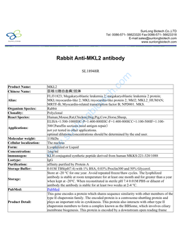 Rabbit Anti-MKL2 Antibody-SL18948R