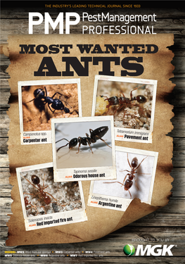 Most Wanted Ants” ⦁ Flexible-Use Sites
