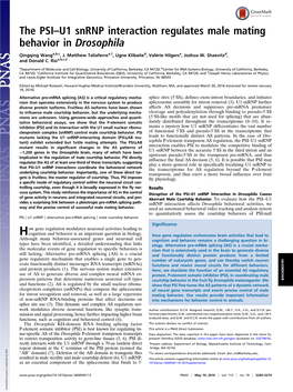 The PSI–U1 Snrnp Interaction Regulates Male Mating Behavior in Drosophila