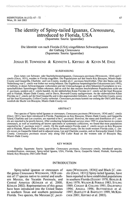 The Identity of Spiny-Tailed Iguanas, Ctenosaura, Introduced to Florida, USA (Squamata: Sauria: Iguanidae)