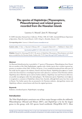 Thysanoptera, Phlaeothripinae) and Related Genera