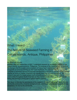 The Nature of Seaweed Farming in Caluya Islands, Antique, Philippines