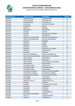 COVID-19 EXTREMADURA CASOS POSITIVOS Y BROTES – 24 DE ENERO DE 2021 (Datos Cerrados a Las 24:00H