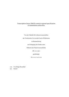 Transcription Factor Zbtb20 Controls Regional Specification of Mammalian Archicortex
