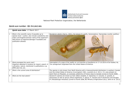 Quickscan Neodiprion Abietis