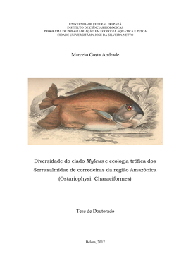 Marcelo Costa Andrade Diversidade Do Clado Myleus E Ecologia Trófica Dos Serrasalmidae De Corredeiras Da Região Amazônica