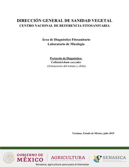 Colletotrichum Coccodes (Antracnosis Del Tomate Y Chile)