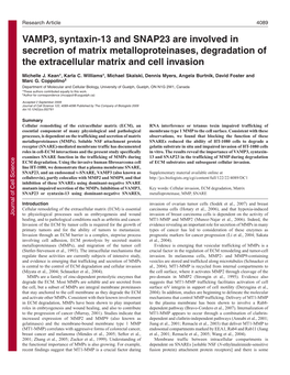 VAMP3, Syntaxin-13 and SNAP23 Are Involved in Secretion of Matrix Metalloproteinases, Degradation of the Extracellular Matrix and Cell Invasion