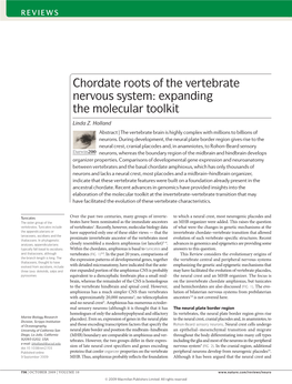 Chordate Roots of the Vertebrate Nervous System: Expanding the Molecular Toolkit