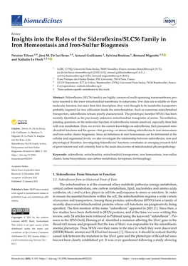 Insights Into the Roles of the Sideroflexins/SLC56 Family in Iron