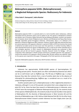 Balanophora Papuana Schltr. (Balanophoraceae), a Neglected Holoparasite Species: Rediscovery for Indonesia