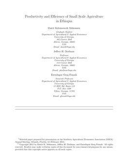 Productivity and Efficiency of Small Scale Agriculture in Ethiopia