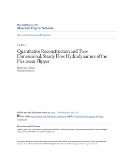 Quantitative Reconstruction and Two-Dimensional, Steady Flow Hydrodynamics of the Plesiosaur Flipper