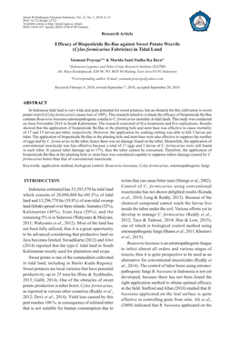 Efficacy of Biopesticide Be-Bas Against Sweet Potato Weevils (Cylas Formicarius Fabricius) in Tidal Land