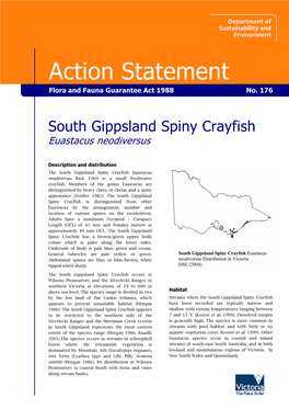 South Gippsland Spiny Crayfish Euastacus Neodiversus
