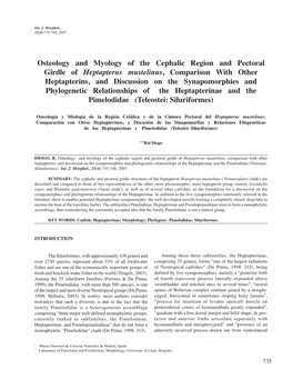 Osteology and Myology of the Cephalic Region and Pectoral