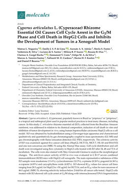 Cyperus Articulatus L. (Cyperaceae) Rhizome Essential Oil Causes Cell