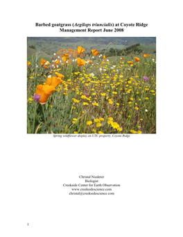 Barbed Goatgrass (Aegilops Triuncialis) at Coyote Ridge Management Report June 2008