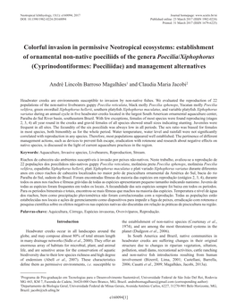 Colorful Invasion in Permissive Neotropical Ecosystems